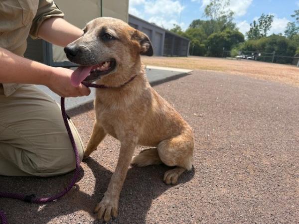 Old Gunn Point Road KOOLPINYAH/GUNN POINT NT