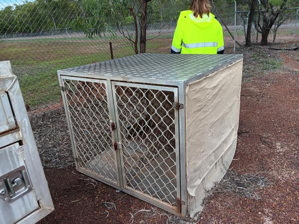 Silent Auction - 2 bay Vehicle Dog Cage - Small 