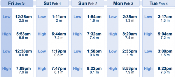 King Tides Jan 2014