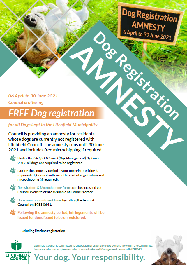 Amnesty