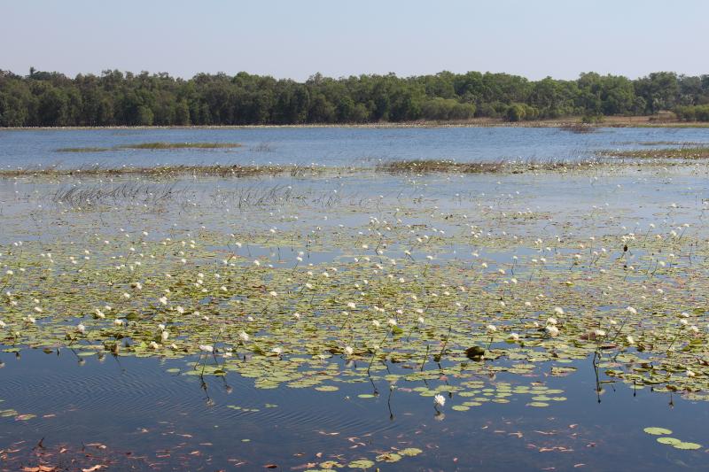 McMinns Lagoon